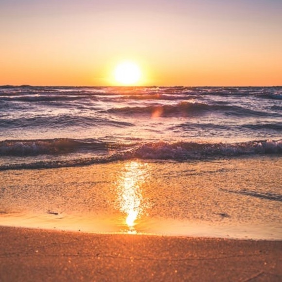 Meet your Posher, Farah - Picture 1 of 1